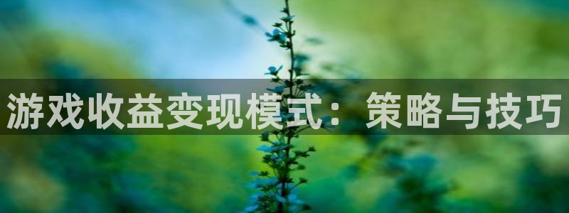 蓝冠娱乐开户测速：游戏收益变现模式：策略与技巧