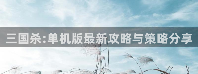 蓝冠娱乐4主管：三国杀:单机版最新攻略与策略分享