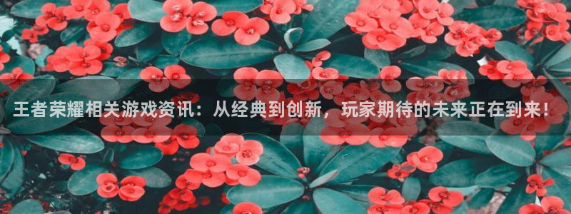 蓝冠娱乐网页登录入口官网：王者荣耀相关游戏资讯：从经典到创新