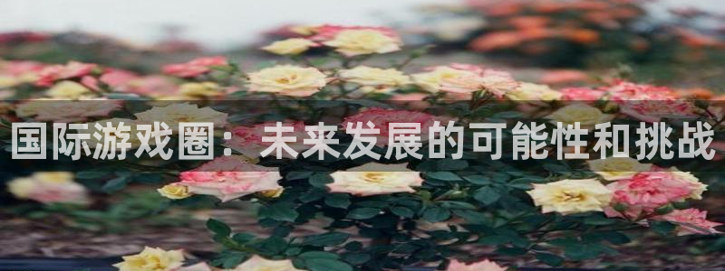 蓝冠娱乐官网登录：国际游戏圈：未来发展的可能性和挑战
