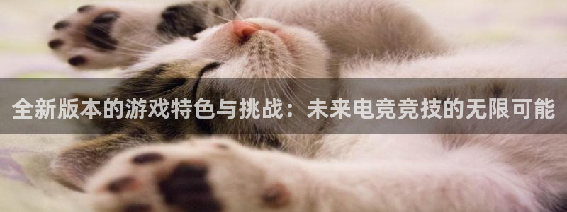 蓝冠娱乐线路测试：全新版本的游戏特色与挑战：未来电竞竞技的无