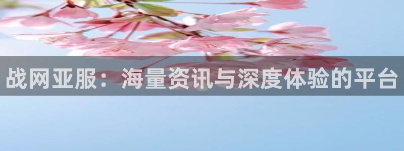 蓝冠娱乐什么意思：战网亚服：海量资讯与深度体验的平台