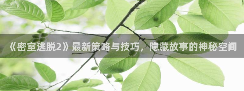 蓝冠娱乐的意思：《密室逃脱2》最新策略与技巧，隐藏故事的神秘