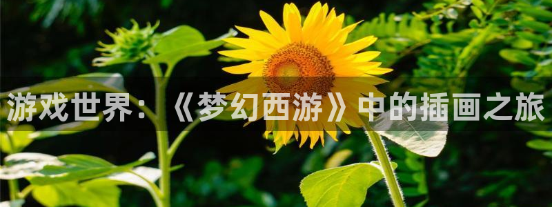 手机蓝冠娱乐下载安装：游戏世界：《梦幻西游》中的插画之旅