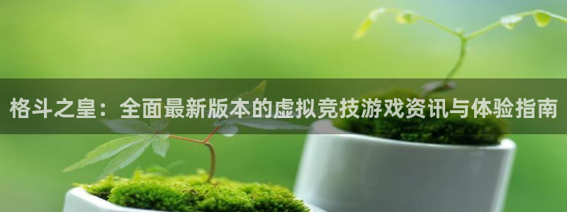 蓝冠娱乐网页登录入口下载：格斗之皇：全面最新版本的虚拟竞技游